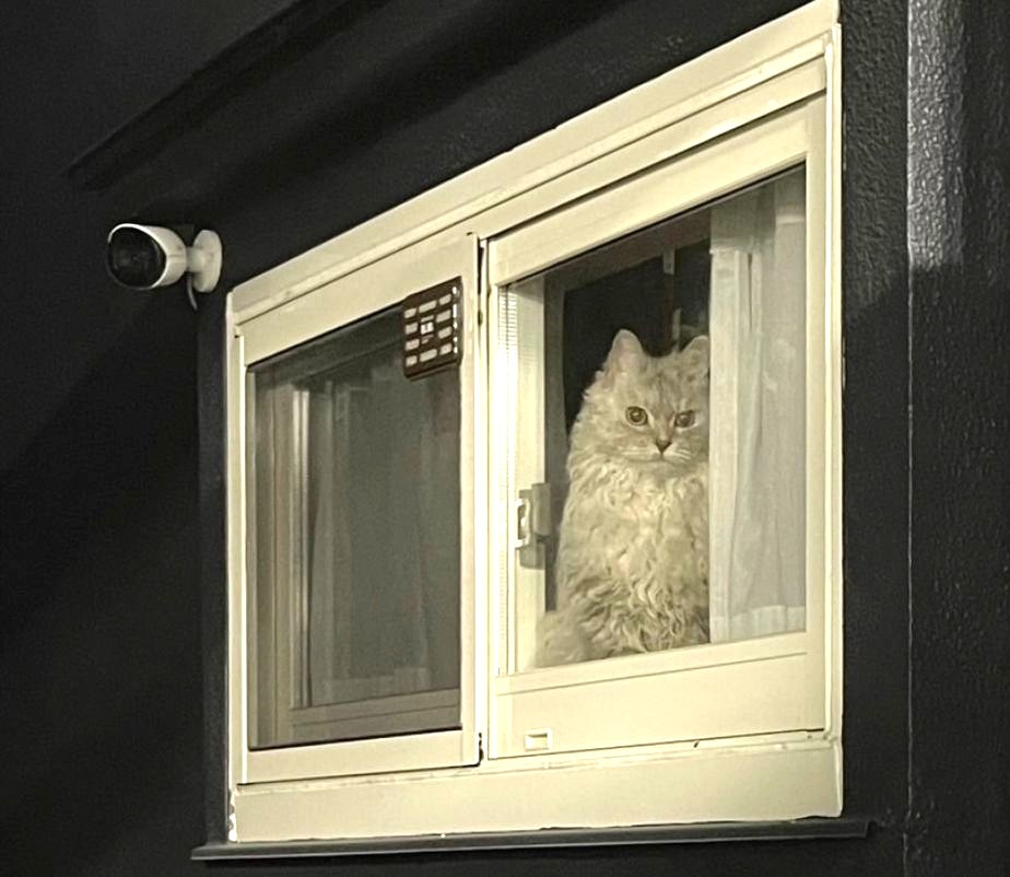 思っていたとおりじゃない。でも、ちゃんと心地いい― Necosumの住まいづくり ―